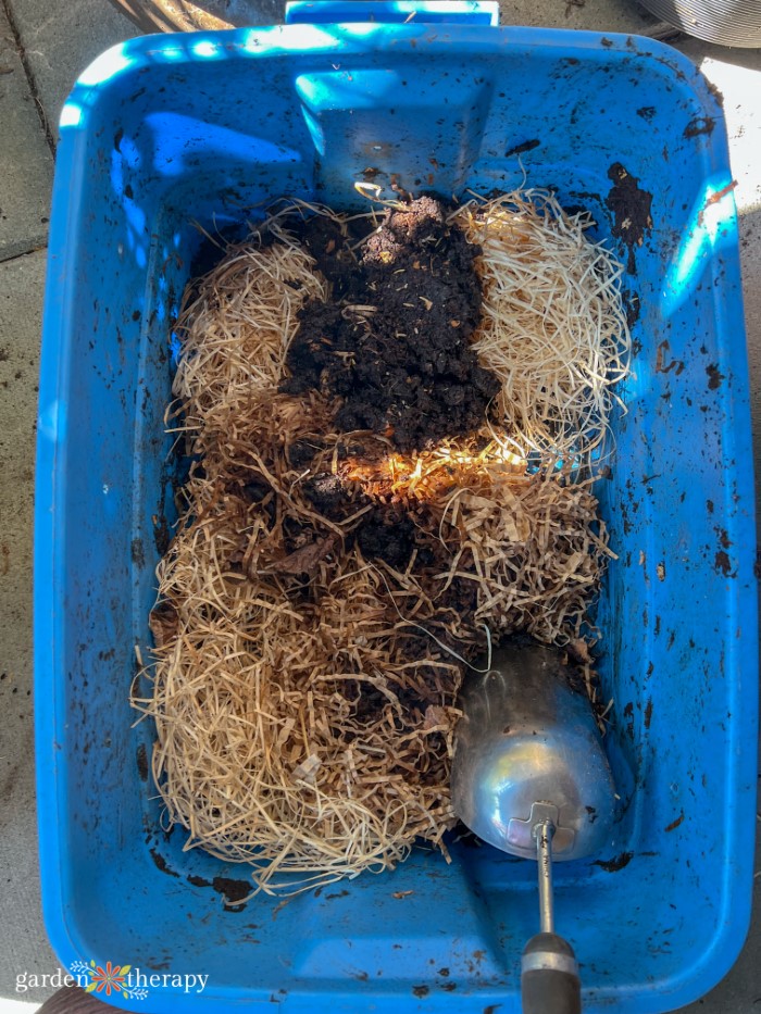 harvesting worm castings