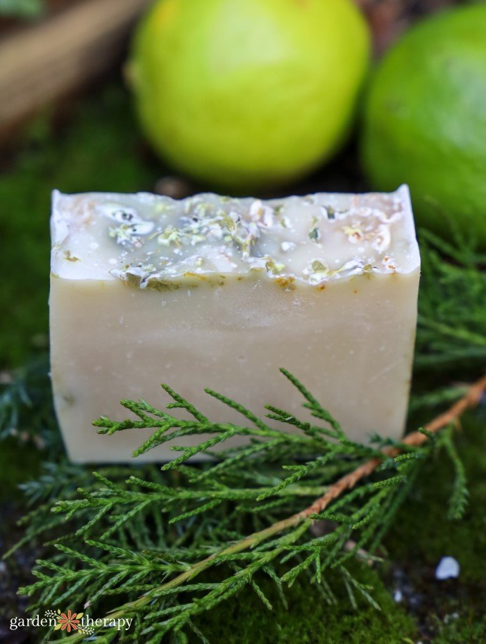 a block of homemade soap made from a lime and cedar soap recipe