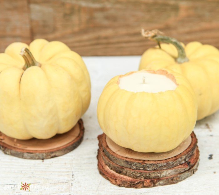 3 pumpkin candles on wood slices