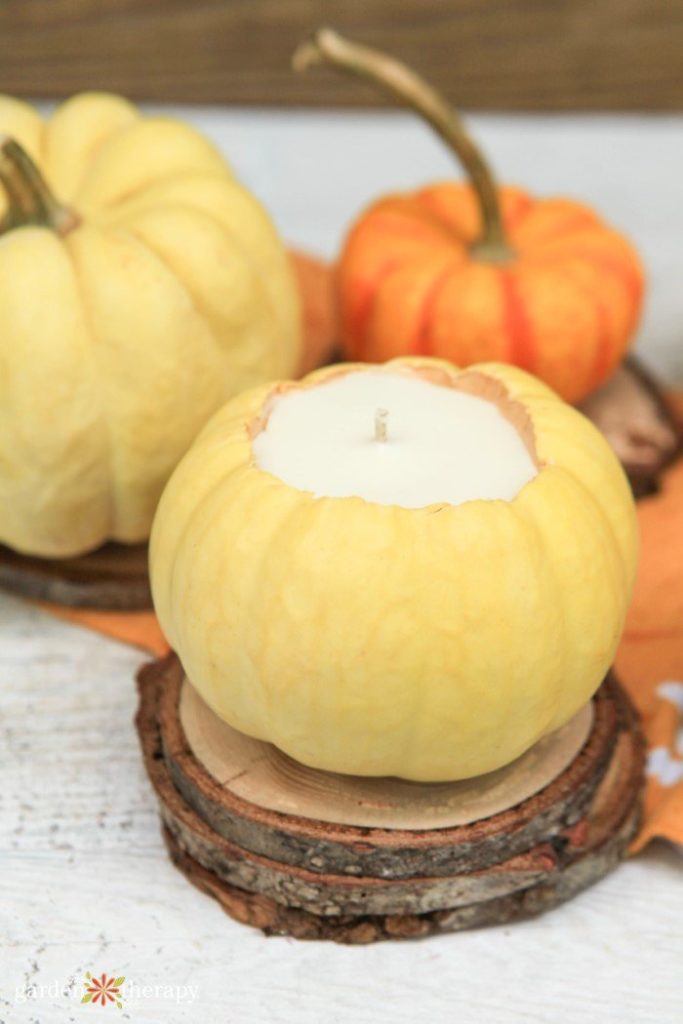 DIY Pumpkin Spice Candle in a Real Pumpkin Garden Therapy