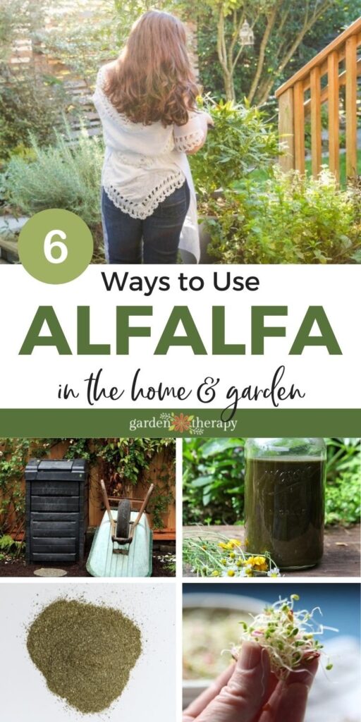 6 Ways to Use Alfalfa in the Home and Garden