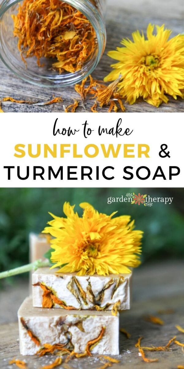 Homemade Cheery Sunflower and Turmeric Soap Garden Therapy
