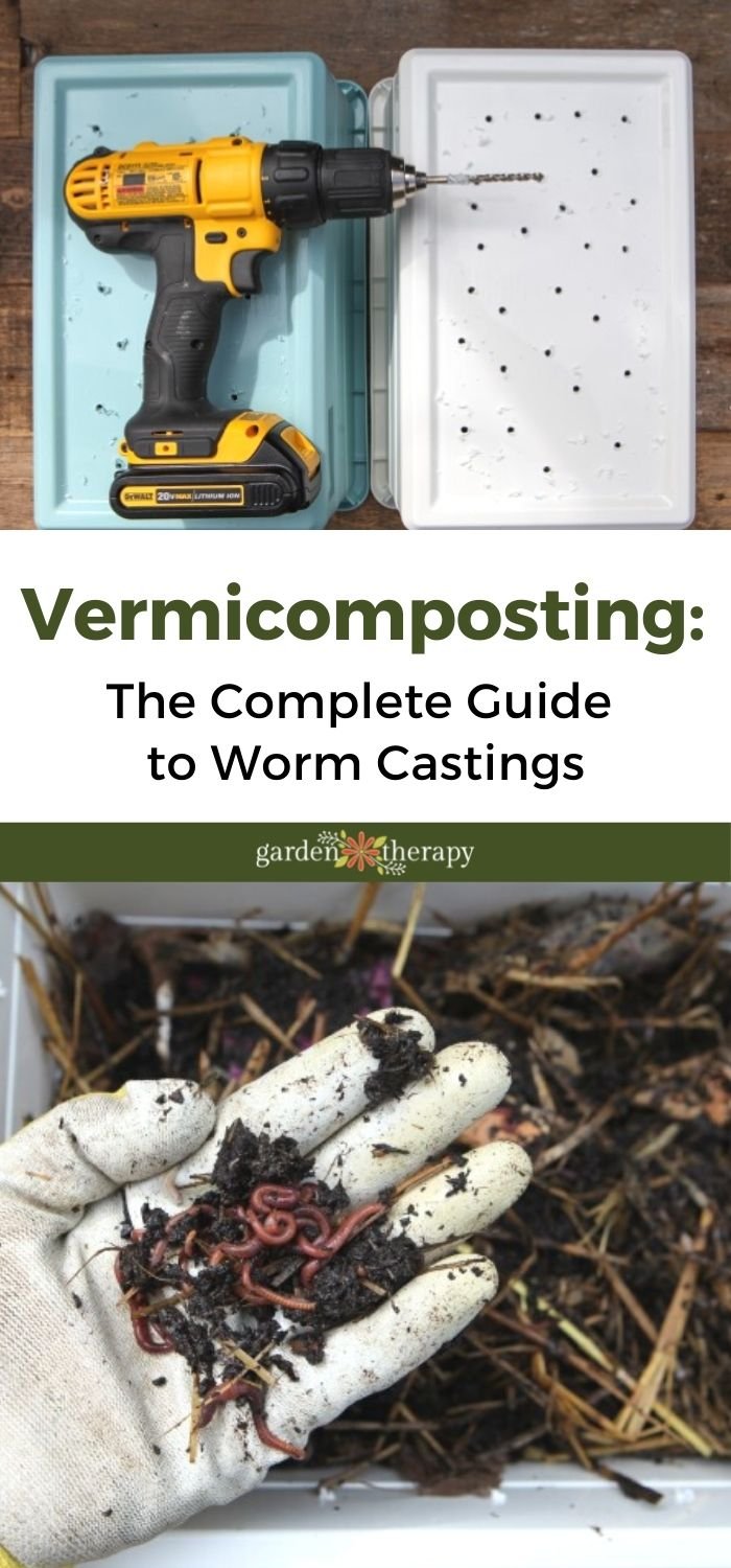 Vermicomposting: The Complete Guide to Worm Castings - Garden Therapy