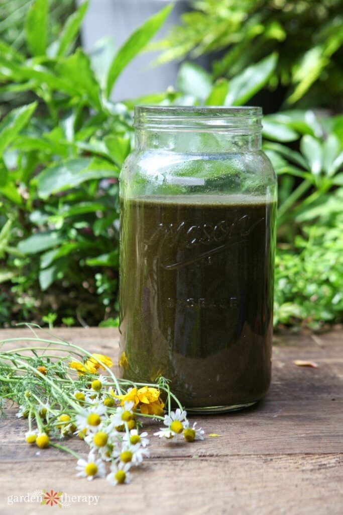 alfalfa tea fertilizer