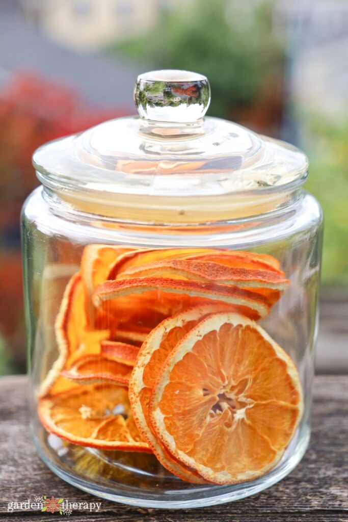 jar of dried orange slices