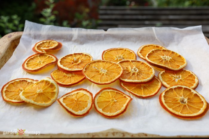 drying orange slices