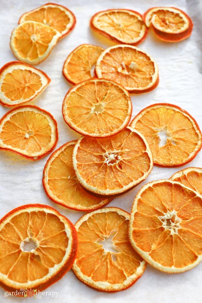 sliced dried orange slices