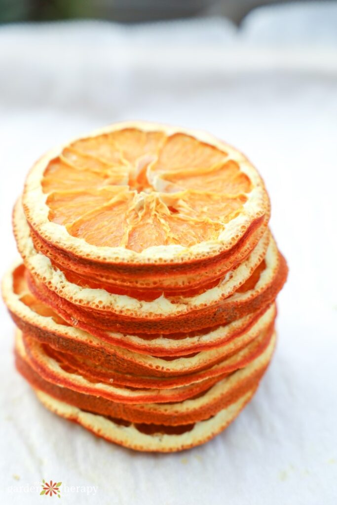 stack of dried oranges