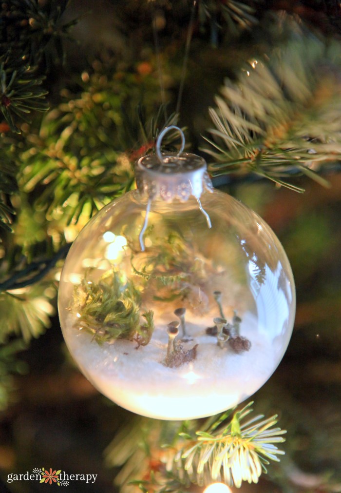 terrarium ornament hanging on real Christmas tree