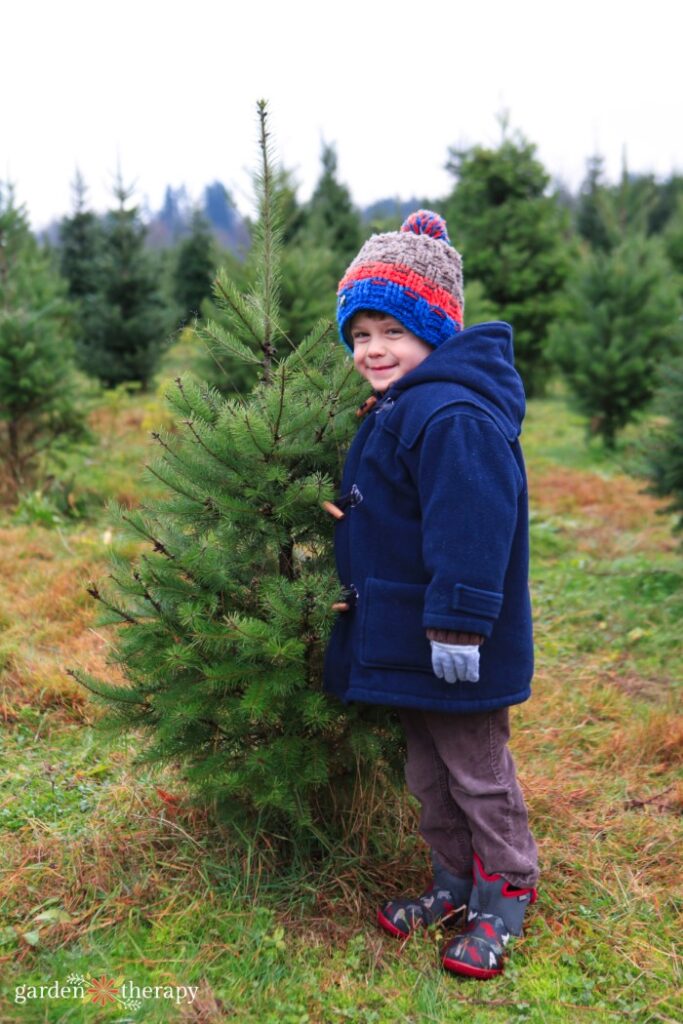 kiddo standing next to a Douglas fir at a Christmas tree farm for types of Christmas trees