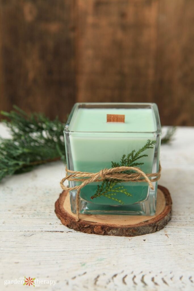 evergreen candle wrapped with twine for a christmas gift