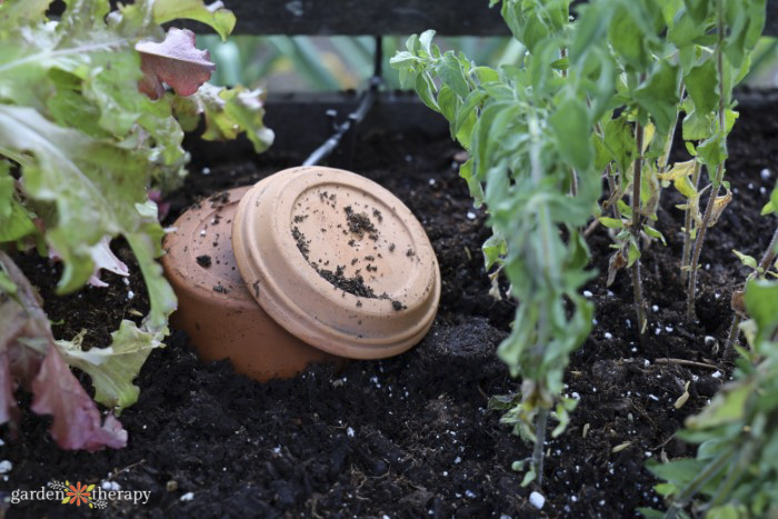 Olla water catchment system