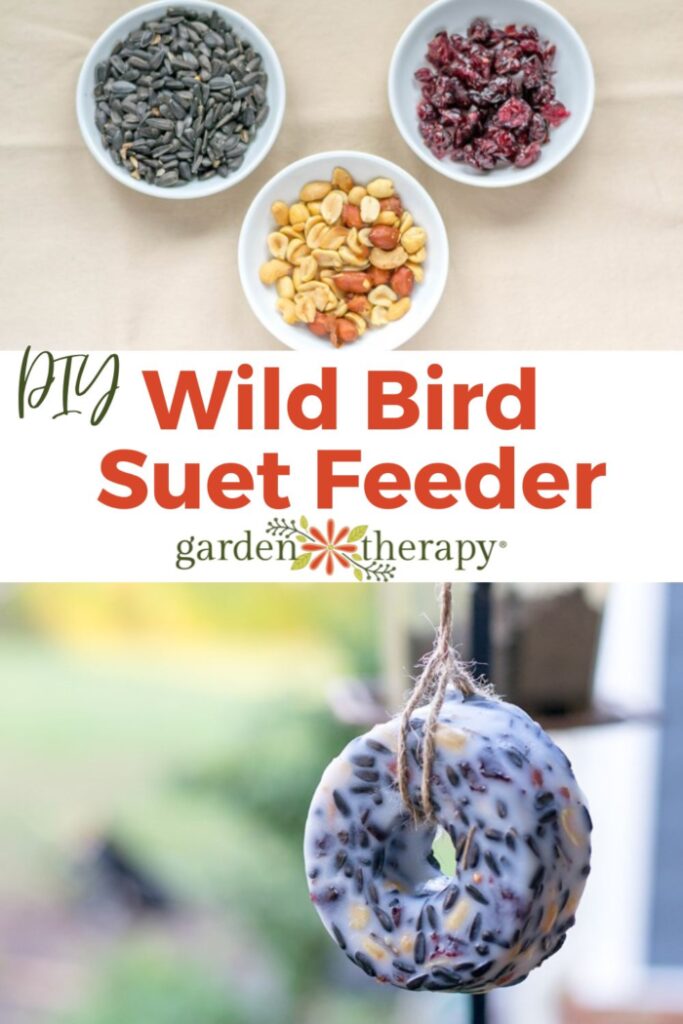 DIY wild bird suet feeder hanging from a tree. Also, three bowls with ingredients for the suet bird feeder including raw peanuts, dried fruit, and birdseed.