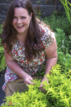 How to Practice Regenerative Gardening - Garden Therapy
