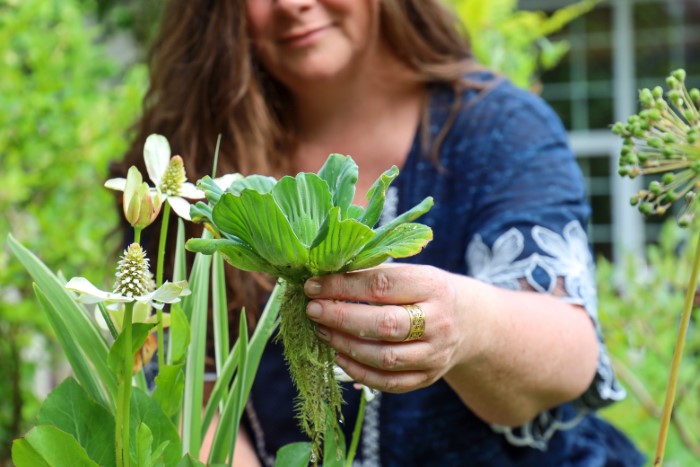 Stephanie holding a plants, showing the powerful relationship between plants and people