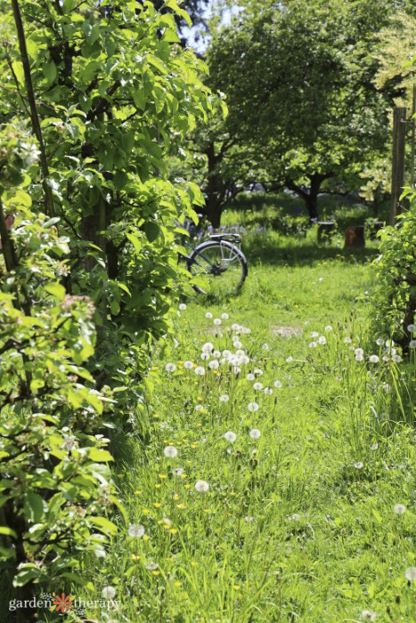 The Case for Letting Your Garden Run Wild