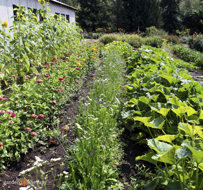 growing a regenerative garden