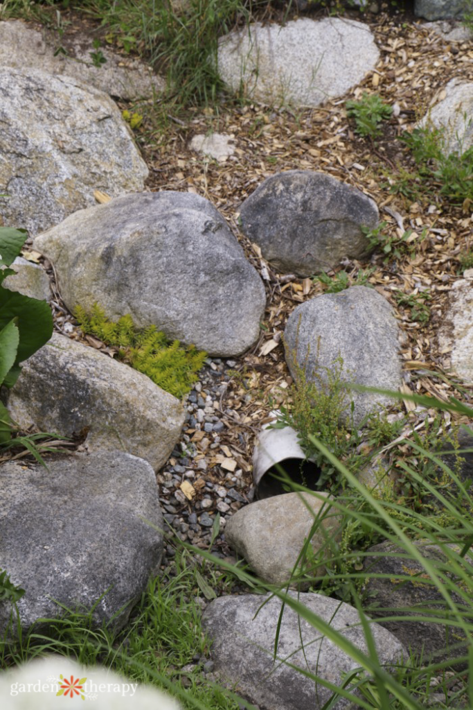 Brotes de jardín de lluvia enterrados en el suelo