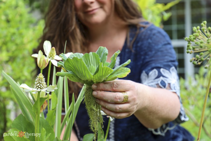 moving plants out from a garden