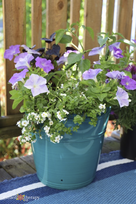 self-watering planter