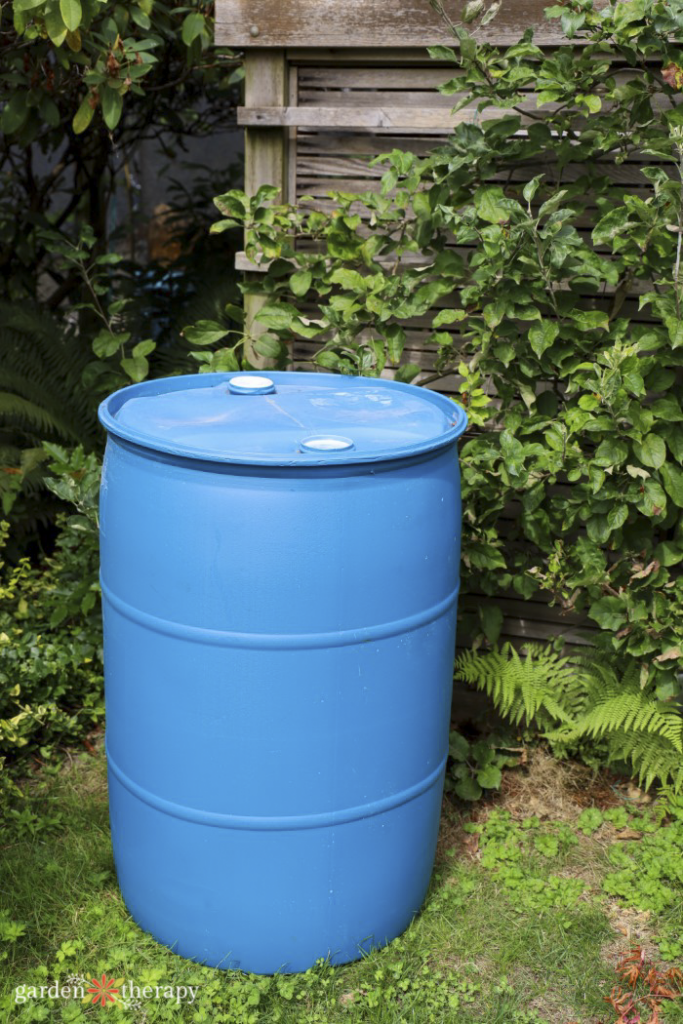 rain barrel water catchment system