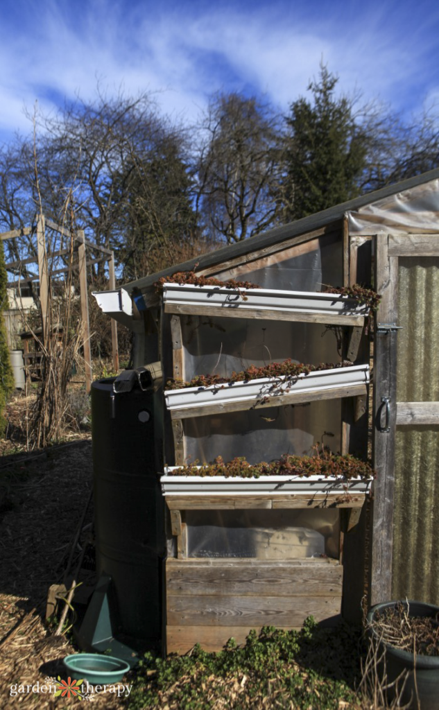 eavestrough and sedum water catchment system