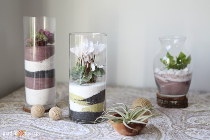 DIY sand art terrarium