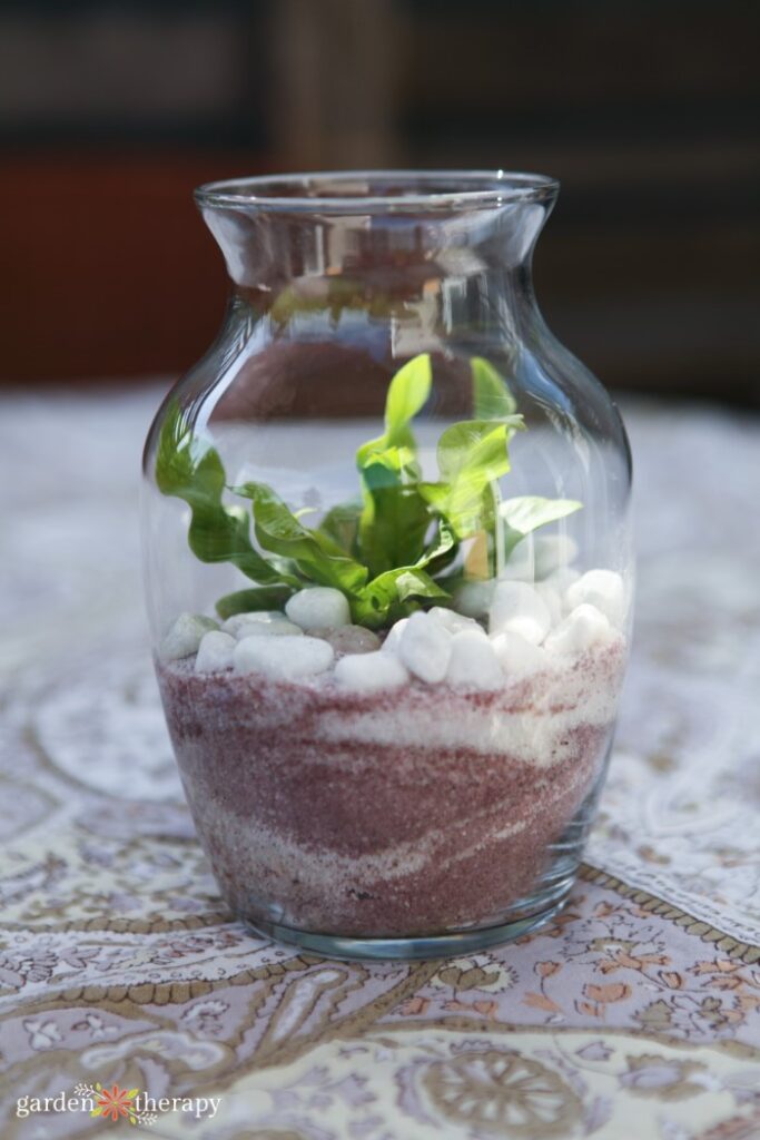 DIY sand art terrariums