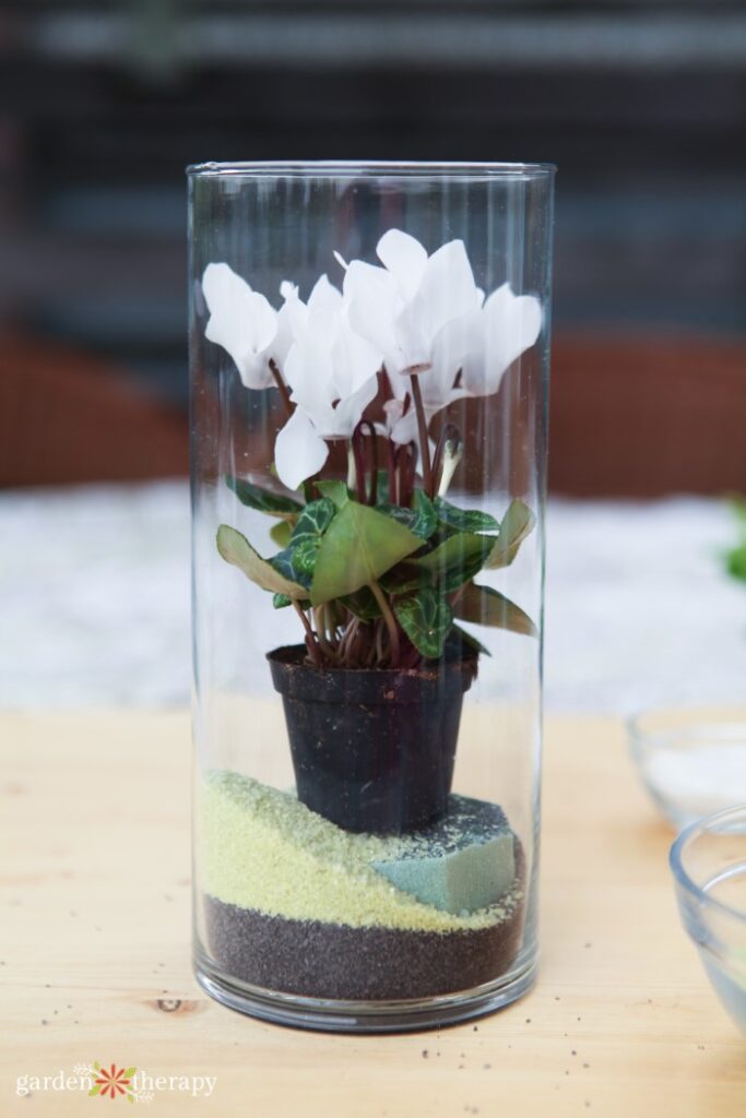 How to Make a Stunning Sand Art Terrarium - Garden Therapy