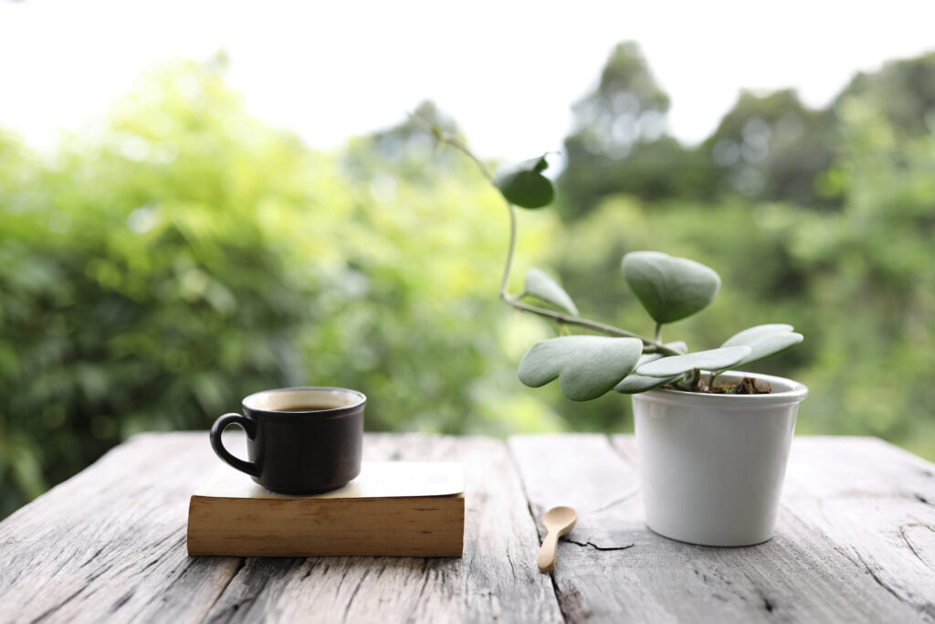 rastlina hoya a šálka kávy