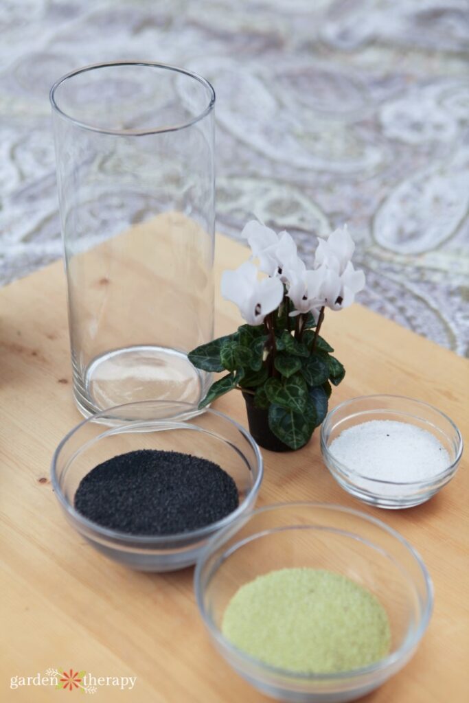 sand art terrarium materials