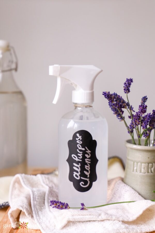 DIY AllPurpose Cleaner With Lavender and Alcohol Garden Therapy