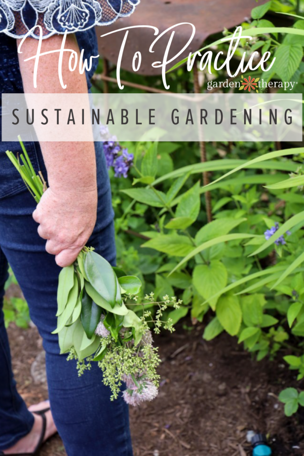 A Greener Thumb: How to Practice Sustainable Gardening