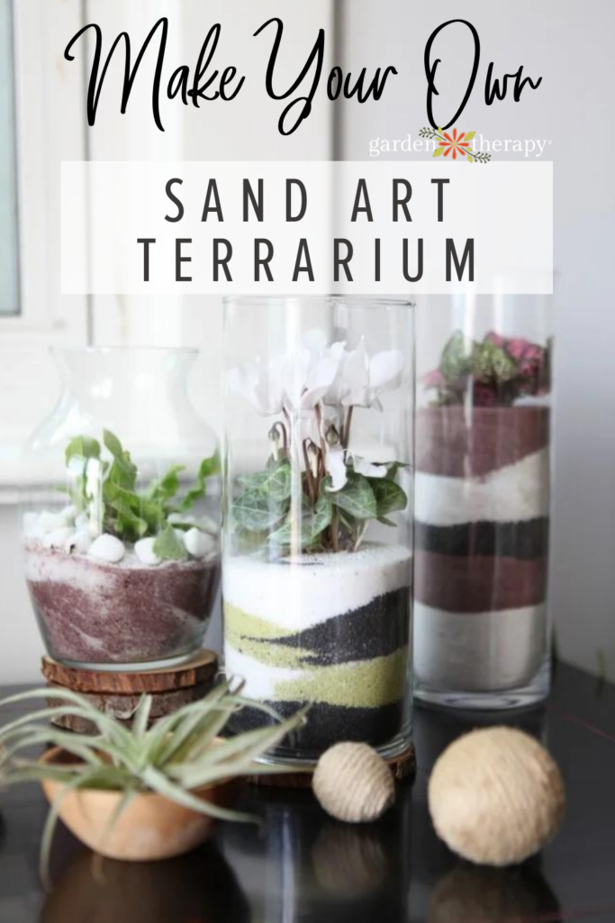 Vytvorte si vlastné pieskové umelecké terárium