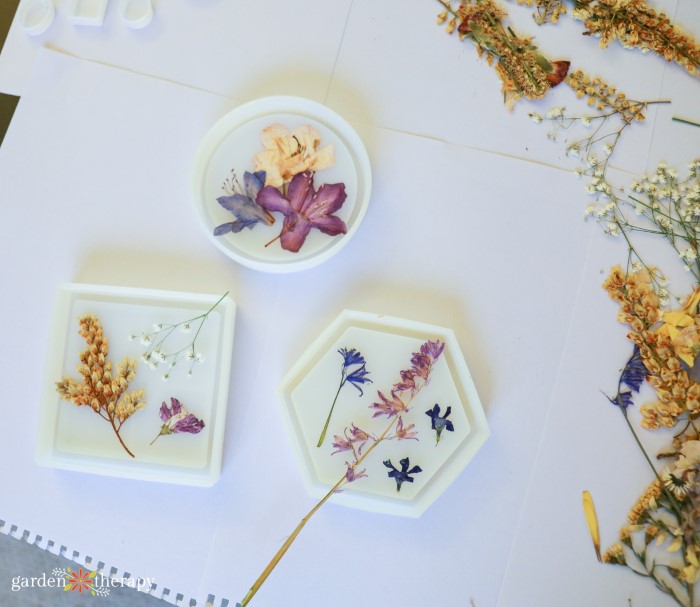 dried flowers in coasters