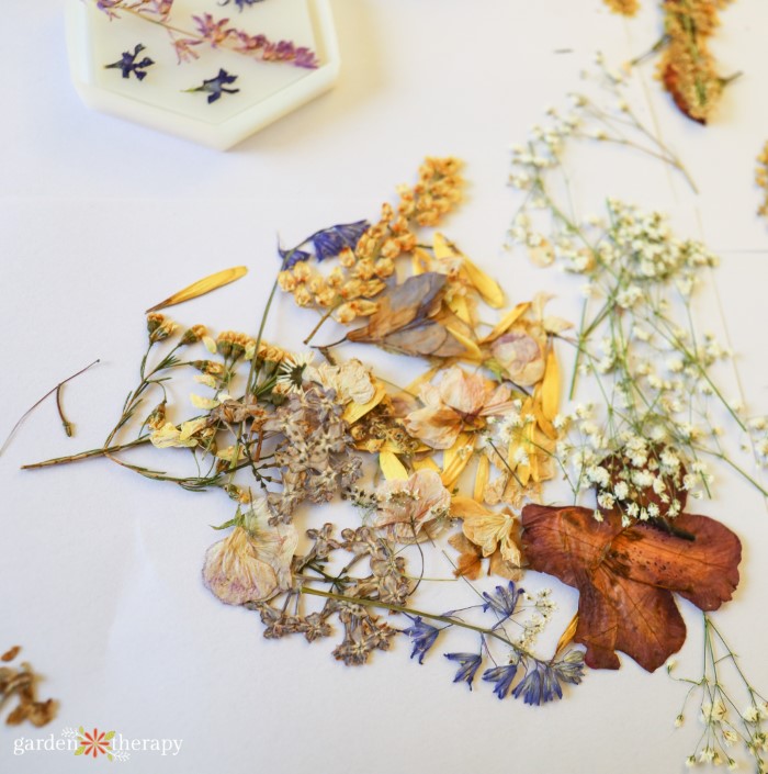 dried flowers