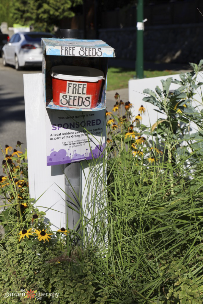 free seeds inside of a seed library