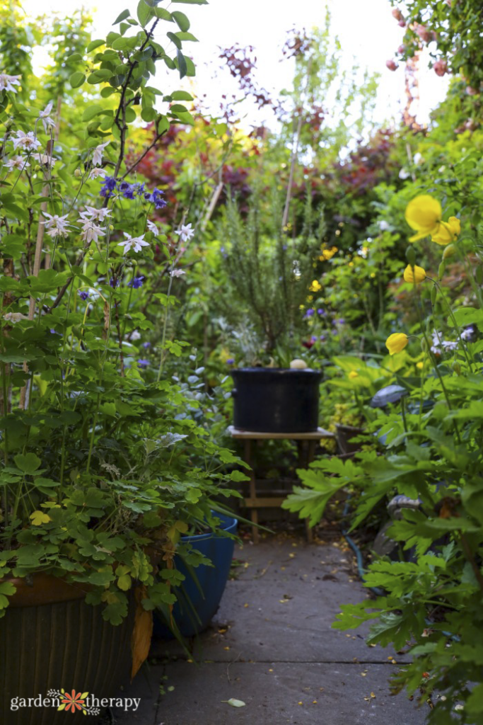 garden sanctuary