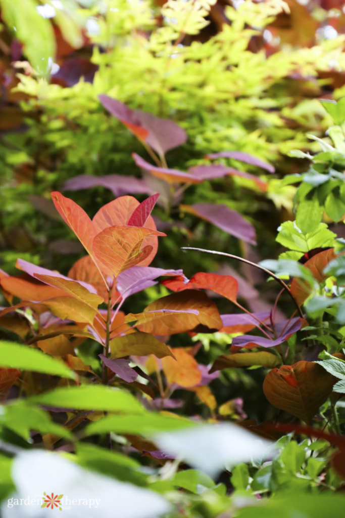 gardening climate