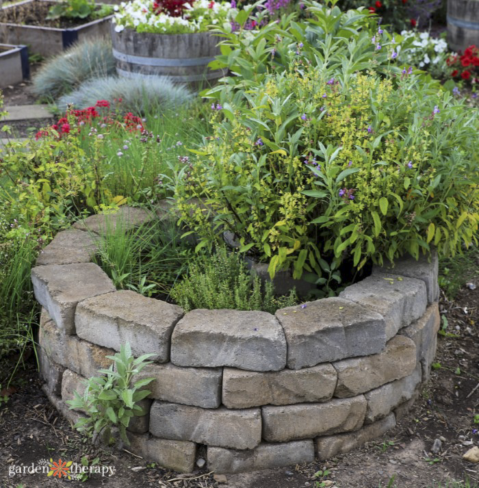 herb spiral circle garden design