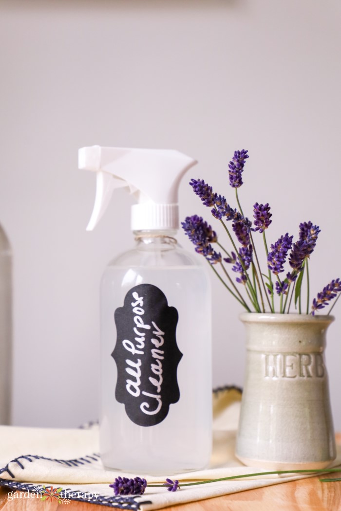 lavender DIY all purpose cleaner