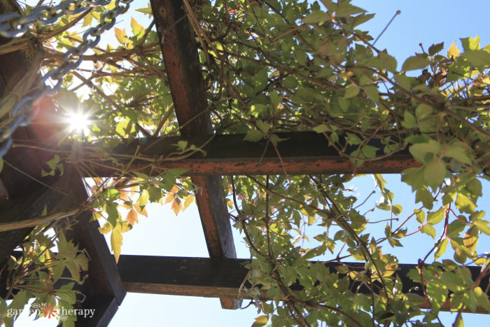 measuring sunlight in a garden