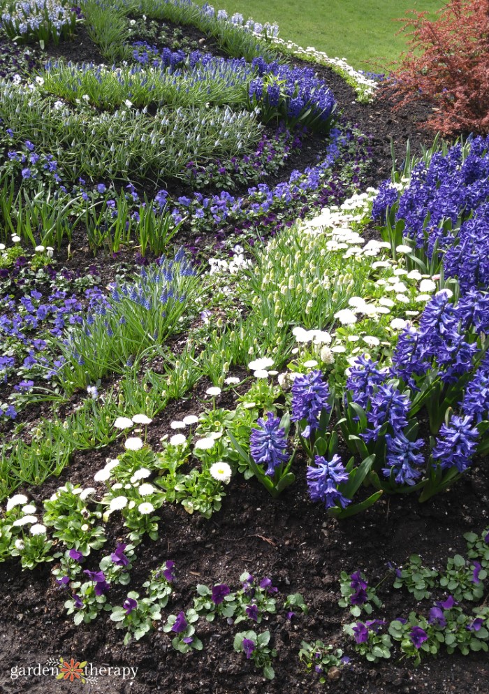 lovely purple flowers