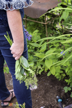 The 25 Best Practices for Regenerative Gardening - Garden Therapy