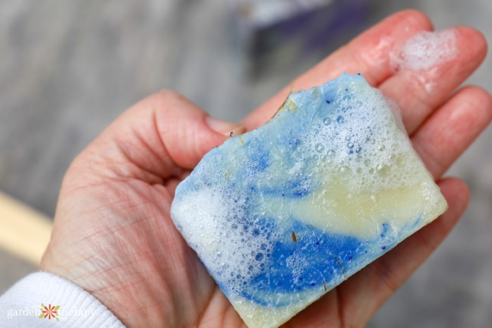 basil and peppermint soap lathered with bubbles in a hand