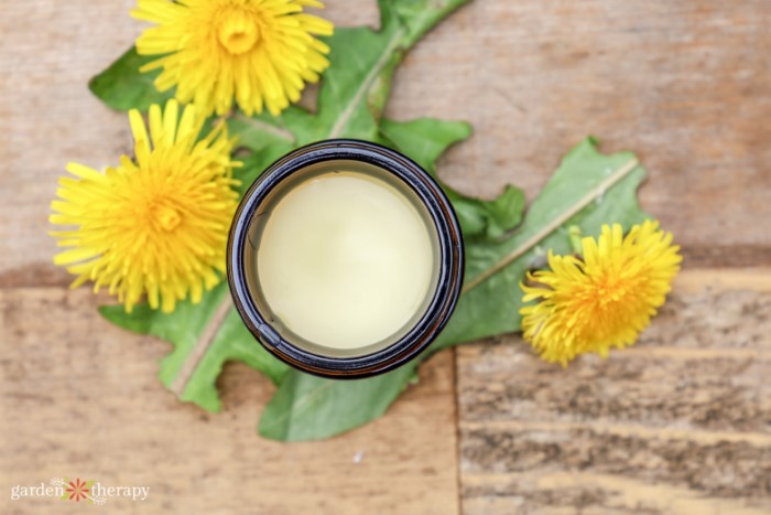 DIY dandelion salve