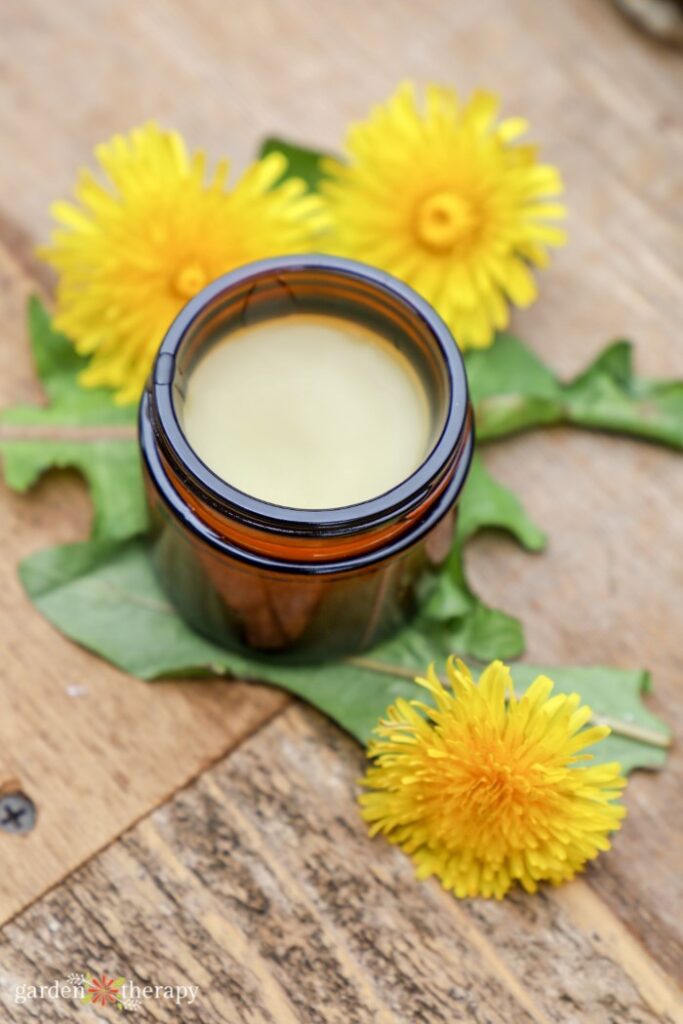 dandelion salve recipe