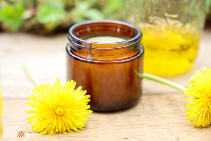 dandelion salve uses