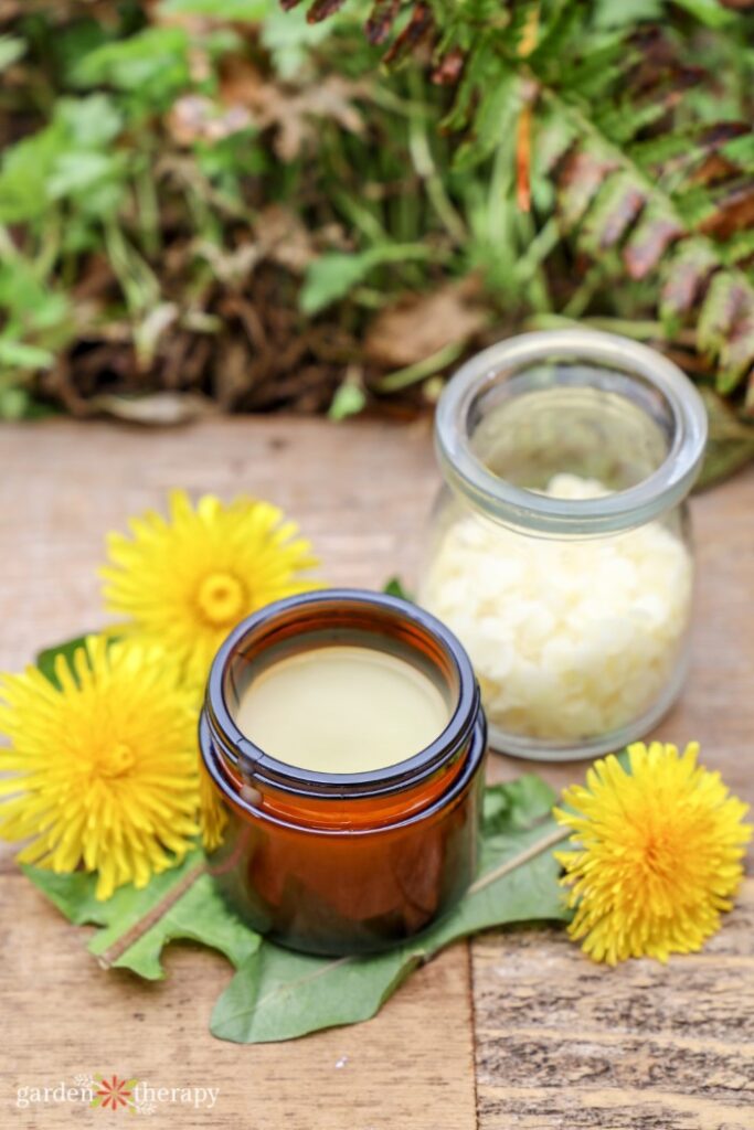 homemade dandelion salve