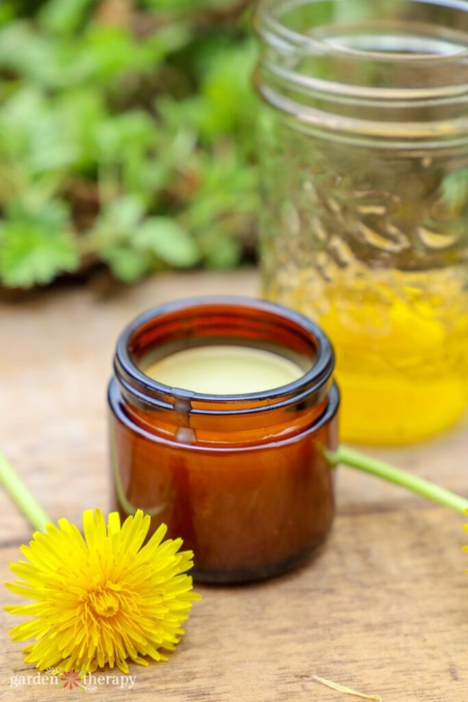 homemade dandelion salve recipe